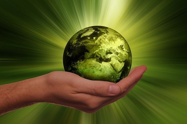 20 most sustainable companies in India